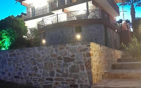 Villa Nestor